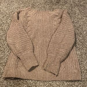 Express teddy sweater